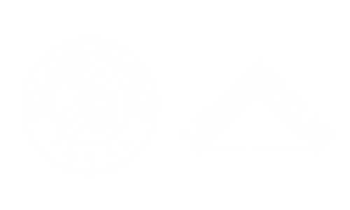 roland garros et leroy merlin clients secteur erp